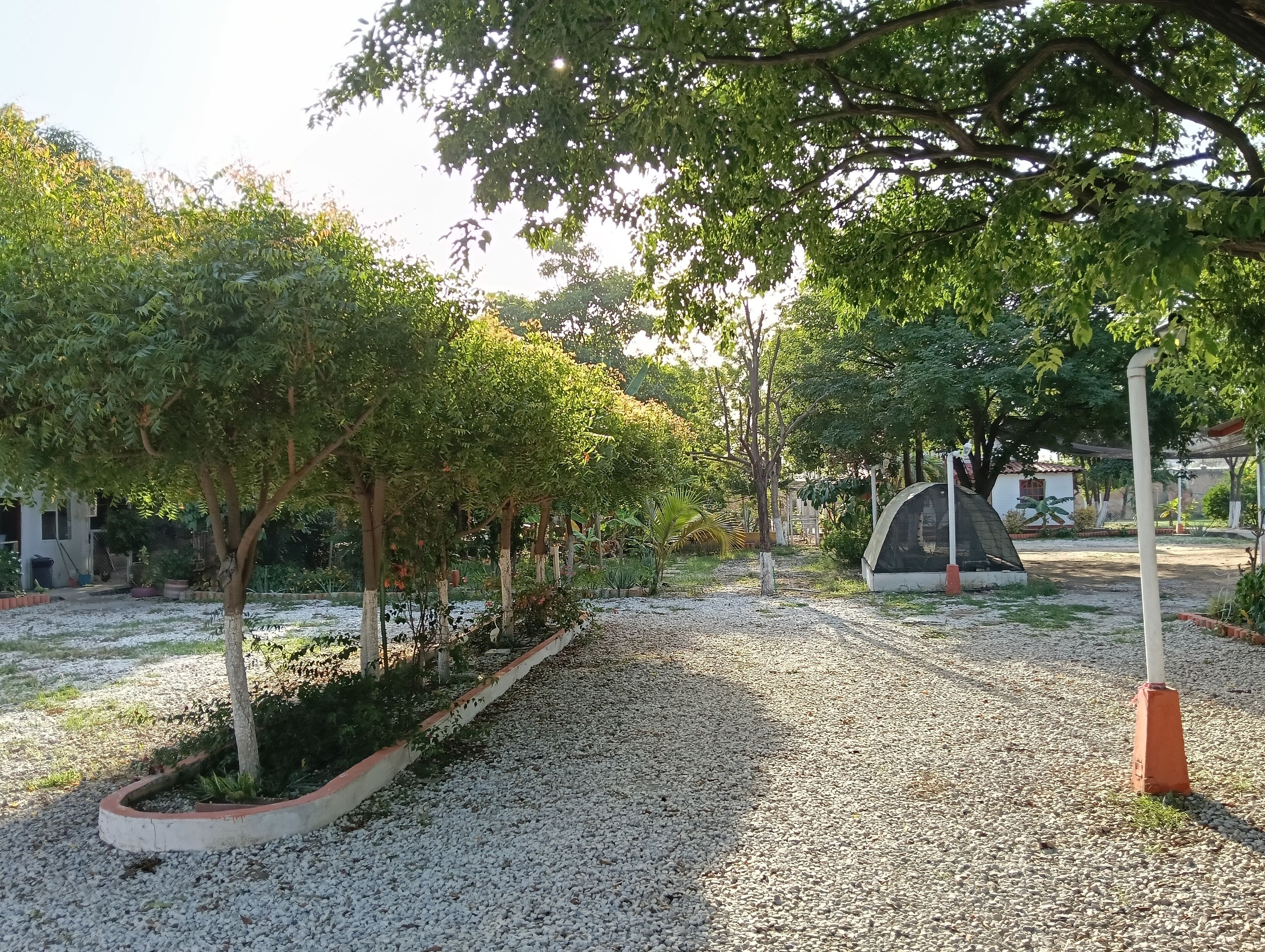 Foto - Biohotel Caribe Green