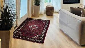 A living room with a TV, a sofa, a red patterned rug, and a potted plant.