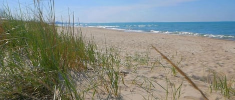 Playa