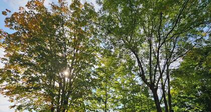 Tranquil bed & breakfast with WiFi in Château-Richer 15% off KCR Karting