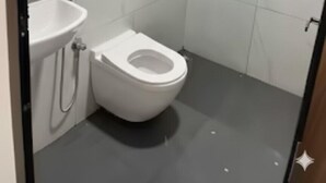 Un baño con inodoro, lavamanos y ducha.