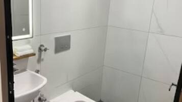 Shower, towels, soap, toilet paper