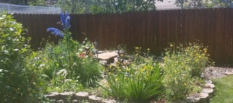 Cozy Cottage In Downtown Carbondale