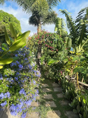 Jardines del alojamiento