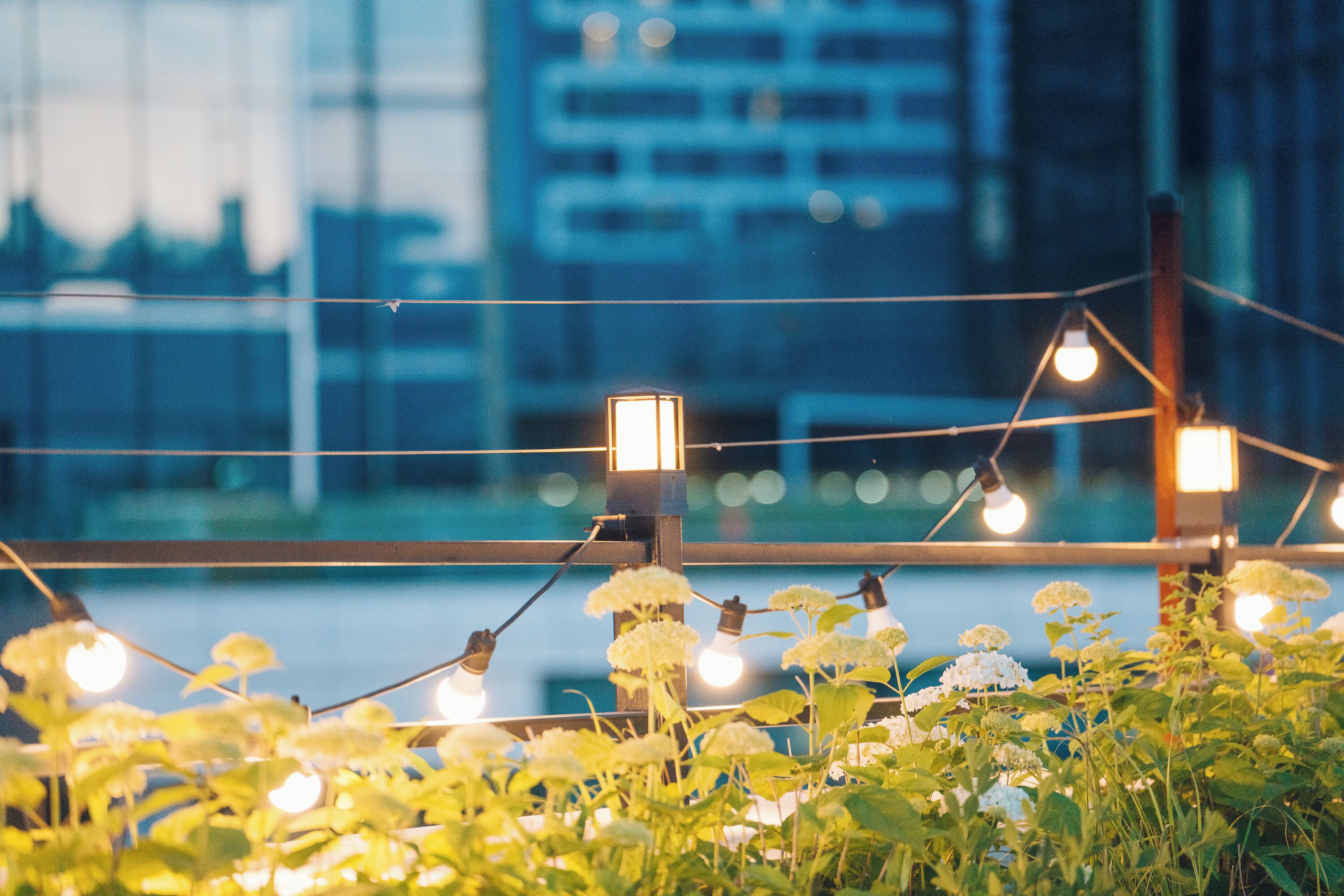 Photo - MONTHLIV Euljiro Hotel Stay