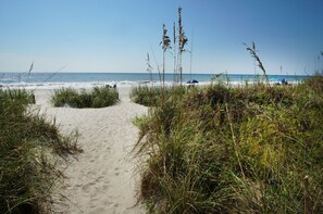 A sandy beach path leading to the ocean with tall grasses on either side.