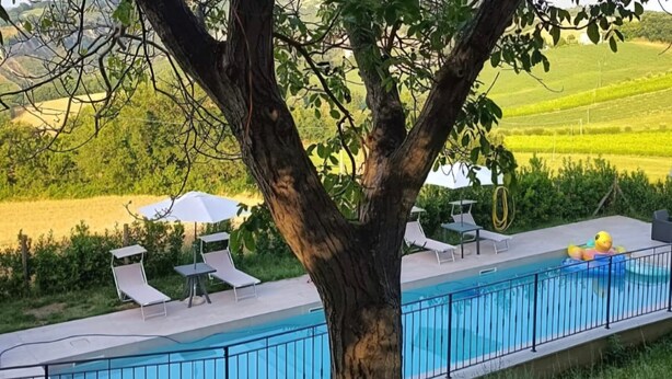 Un área junto a la piscina con sillas de descanso y sombrillas.