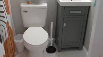 Shower, towels, toilet paper