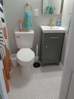 Shower, towels, toilet paper