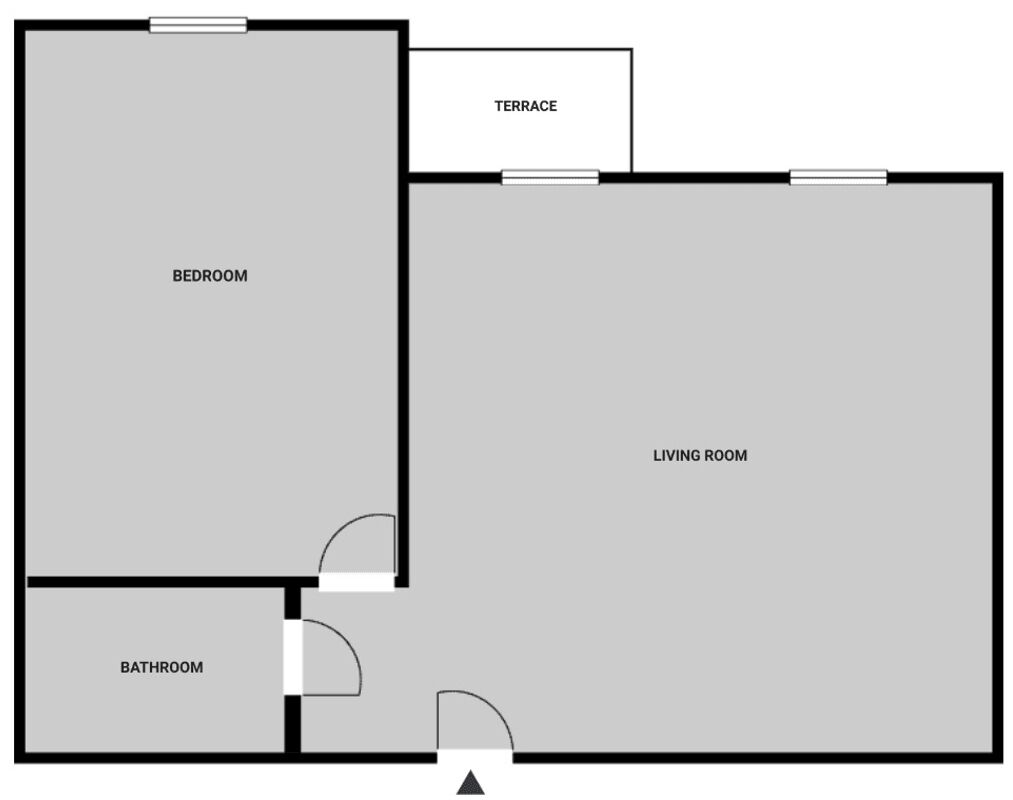 Un plan d’étage comprenant une chambre, un salon et une terrasse.
