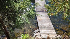 Unclassified image, 3 of 30, button - A Tory Lake Treasure in Haliburton County - Lake front cottage (Haliburton county)