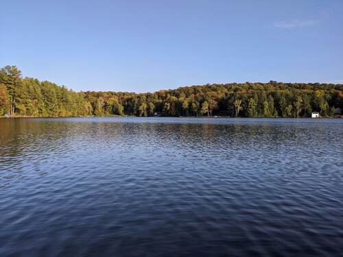 A Tory Lake Treasure in Haliburton County - Lake front cottage
