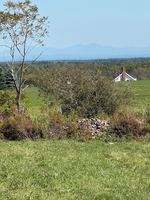Miscelánea
