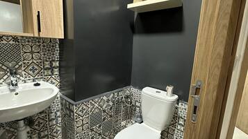Shower, hair dryer, bidet, towels