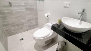 Shower, towels, soap, toilet paper