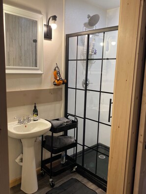 Shower, hair dryer, towels, soap