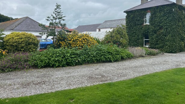 A residential area with a house covered in ivy, a gravel driveway, and a blue car parked nearby.