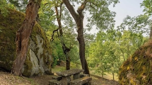 A rustic picnic table surrounded by trees and moss-covered rocks in a forest setting. - Quiet Escape by the River w/ Pool by HostWise (Tábua)