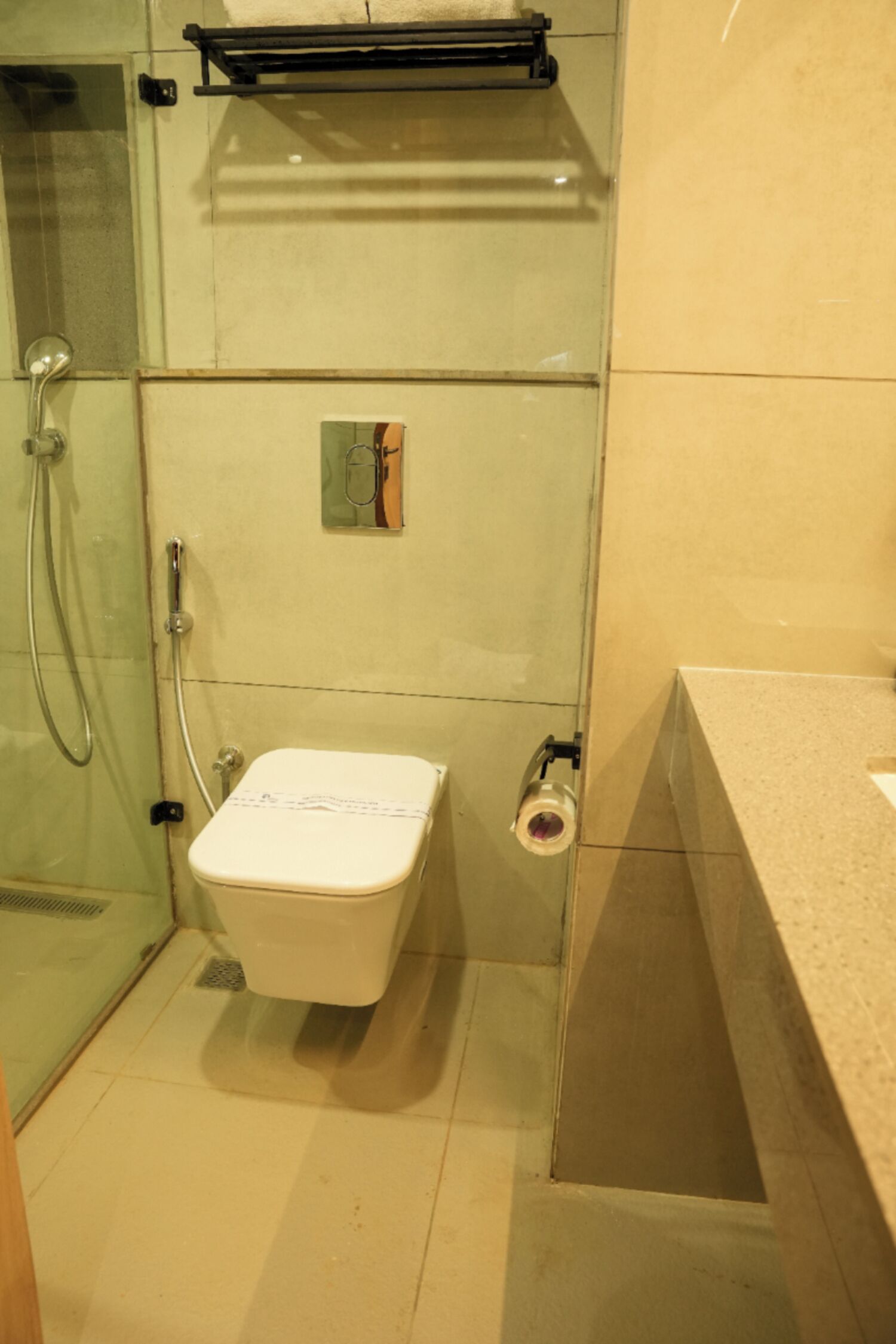 Baño con cabina de ducha de vidrio, inodoro y perchero para toallas.