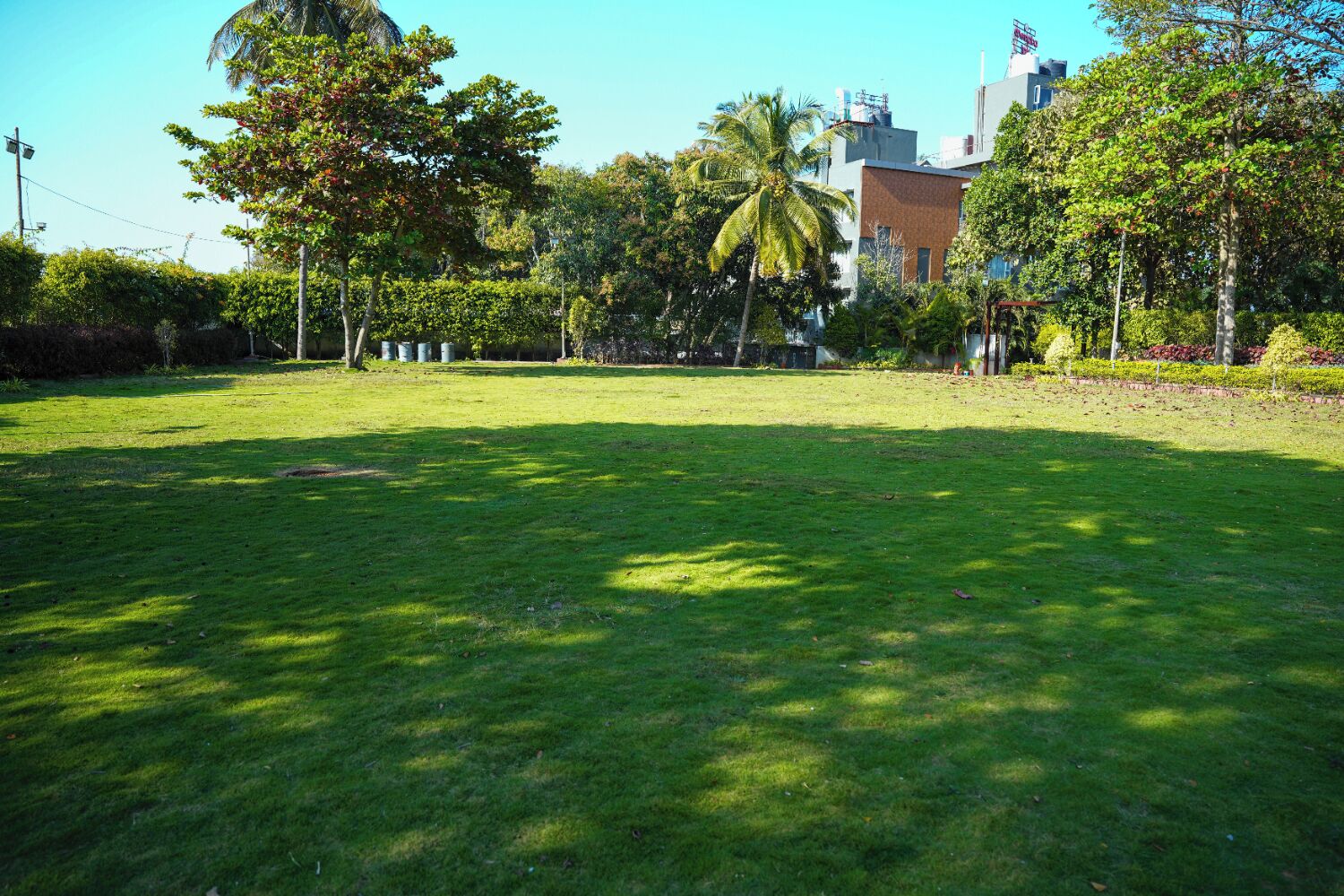 A grassy area with trees and a building in the background.