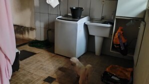 A small kitchen with a refrigerator, sink, and a trash bin.