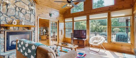 TV, fireplace, DVD player, books