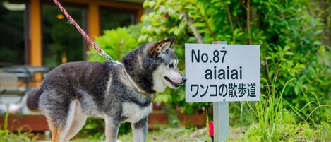 Enceinte de l’hébergement