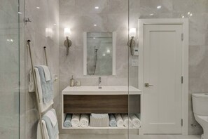 Hair dryer, towels, soap, toilet paper