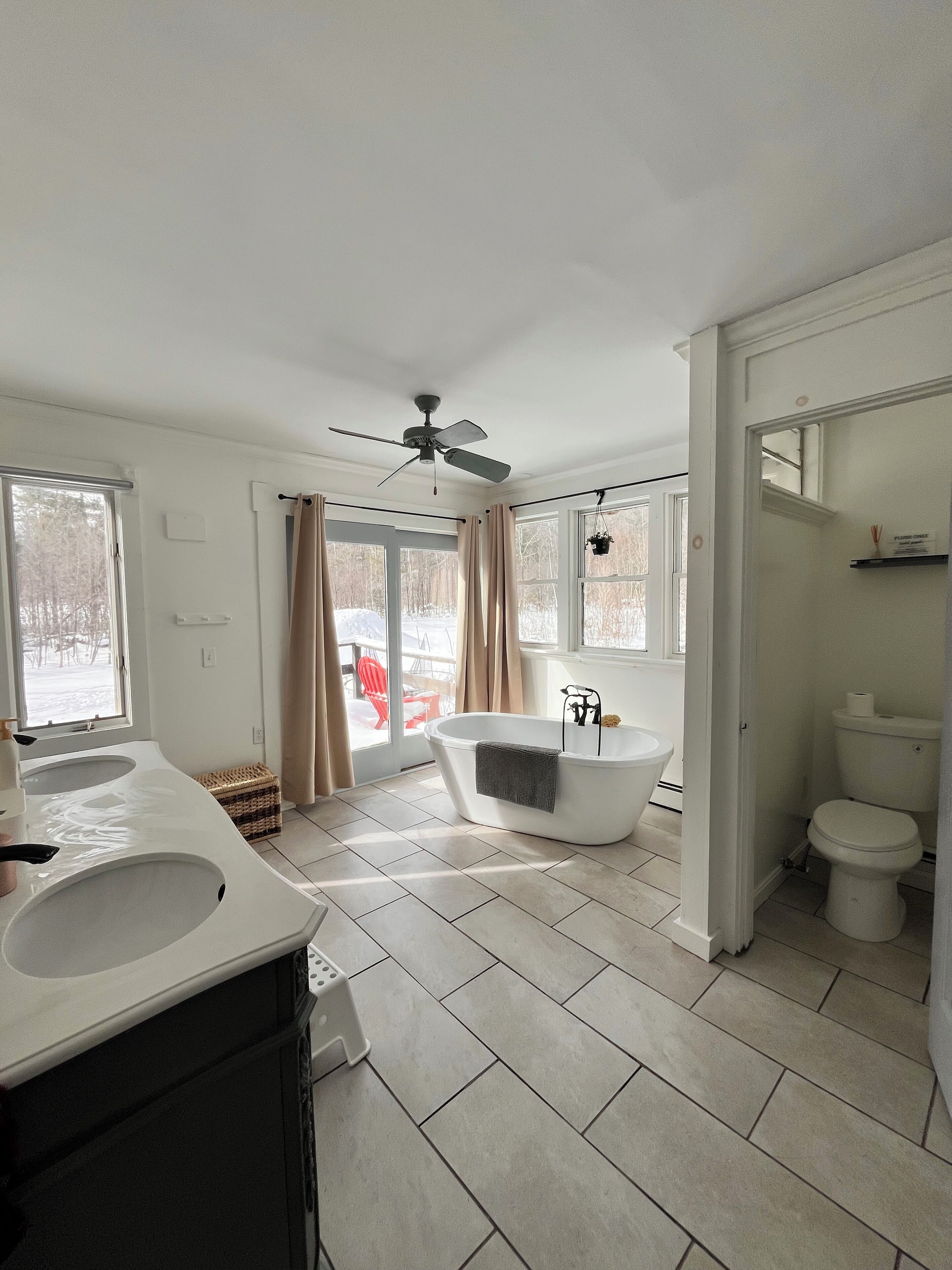 Hair dryer, bidet, towels, soap