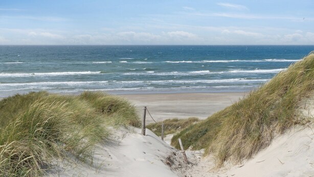 A beach with sand dunes and the ocean. - Summerhouse in peaceful surroundings (Pandrup)
