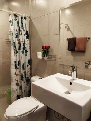 客房, 1 间卧室, 阳台 | 浴室