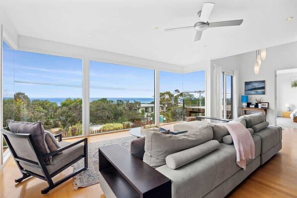 TV, fireplace, DVD player