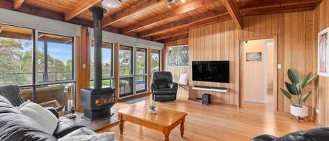 TV, fireplace