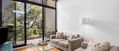 TV, DVD player, stereo