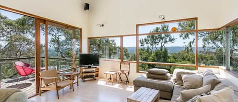 TV, fireplace, DVD player