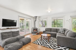 TV, fireplace, DVD player