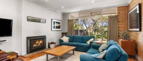 Televisión, chimenea, reproductor de DVD