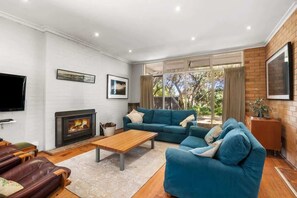 TV, fireplace, DVD player