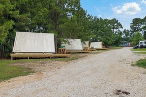 Property grounds - Cozy A-Frame Glamping Surrounded by Piney Woods (Onalaska)