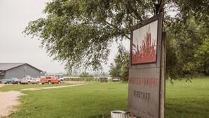 Naamplaatje voor een wijngaard, met een stadsillustratie en de tekst 'PAINTER'S VINEYARD'.