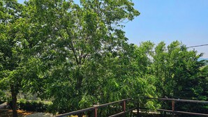 A swimming pool with a wooden deck and metal railing, surrounded by lush green trees. - 4-bedroom Villa with Heating, Pool, Playgrounds, WiFi, Gardens: Douq, Batroun (محافظة الشمال)