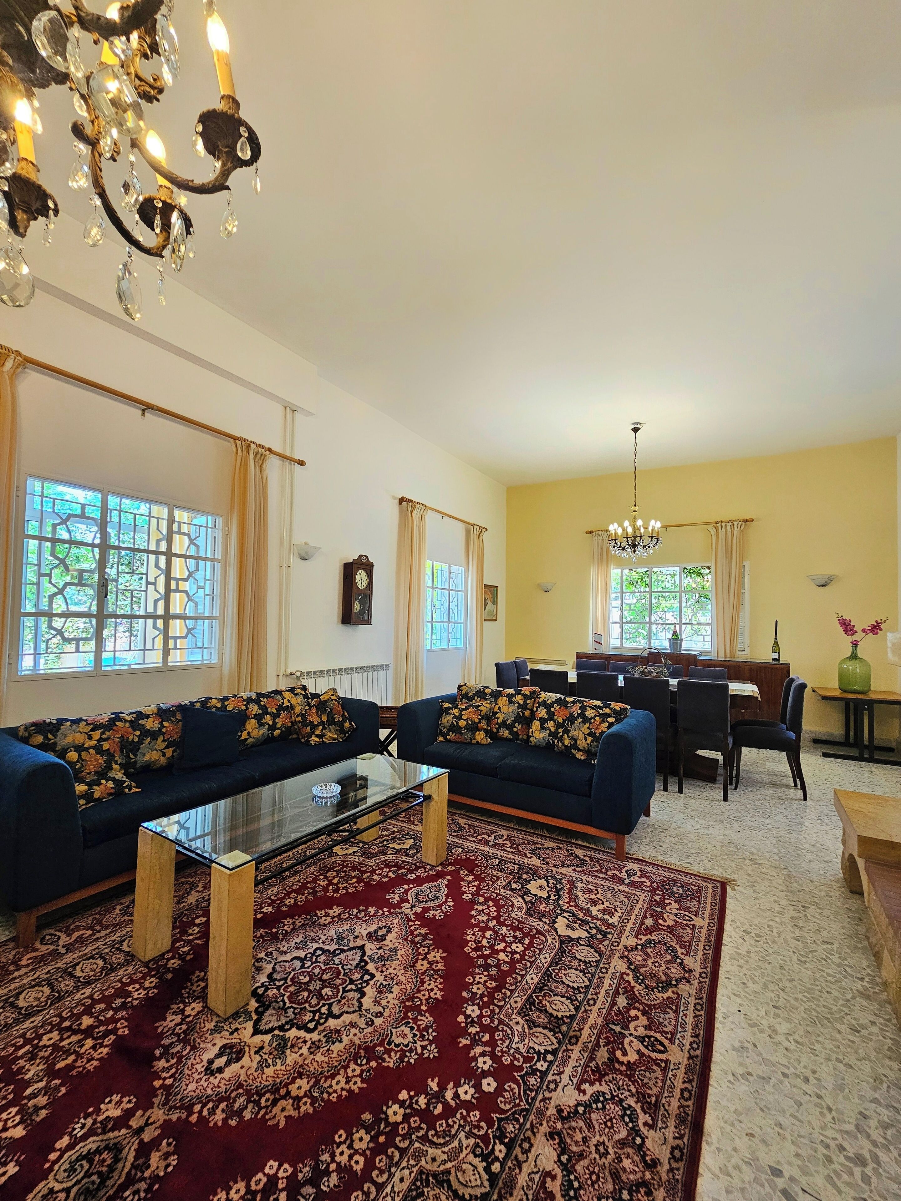 TV connectée, cheminée, lecteur de DVD, livres