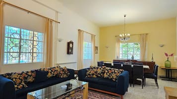 Smart TV, chimenea, reproductor de DVD y libros