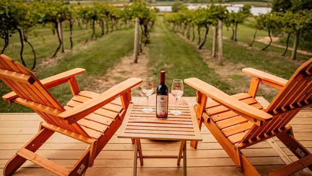 Une terrasse en bois avec deux fauteuils Adirondack et une table, donnant sur un vignoble.