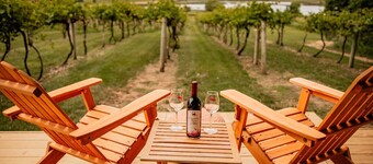 Cozy Wine Country Retreat at Painted Prairie