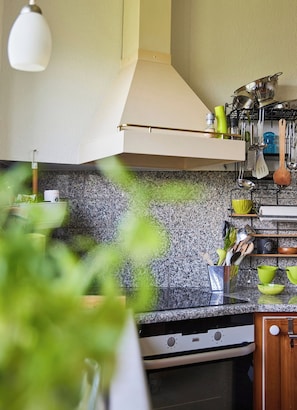 Fridge, oven, stovetop, dishwasher