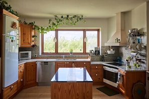 Fridge, oven, stovetop, dishwasher