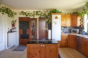 Fridge, oven, stovetop, dishwasher