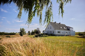 Eksteriør
