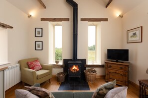 تلفزيون ذكي